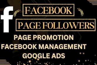 grow your facebook, instagram followers with targeted USA, UK audiences