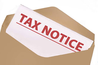 consult in income tax demand notice work
