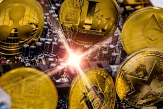 setup profitable real bitcoin , btc and usdt fast for you