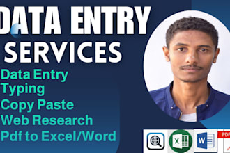 do data entry, pdf to excel or word, transcription, copy paste and web research