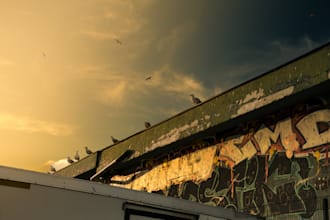 custom lightroom presets for your unique style