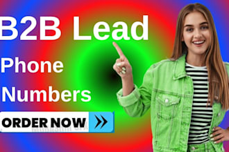 provide b2b lead generation cell phone direct phone mobile phone number for you
