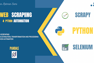 provide expert web scraping and python automation tailored to your needs