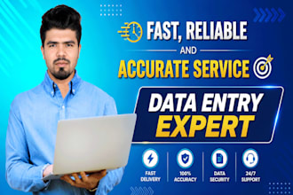 do data entry and web research work