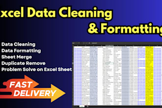 do excel spreadsheet data cleaning, formatting and data processing accurately
