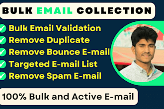 do bulk email verification, validation and list cleaning service