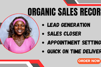 your high ticket sales closer, sales representative sales lead professional