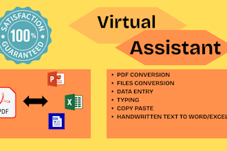 be your virtual assistant for data entry ,files conversion, typing , copy paste