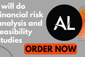 do financial risk analysis and feasibility studies