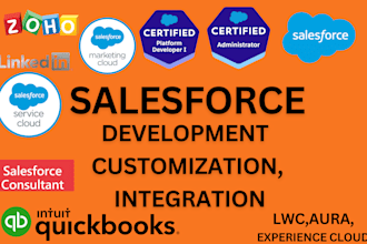 do salesforce development, customization, integration