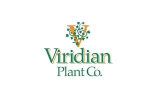 design gorgeous plant shop logo