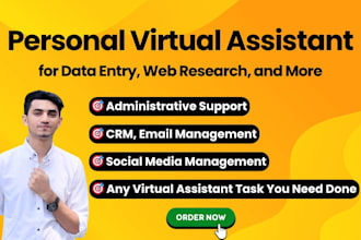 be personal virtual assistant for data entry, web research