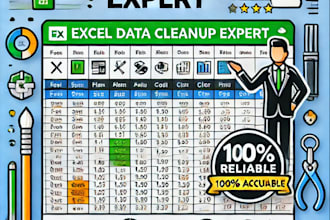 accurate excel data entry and cleanup services