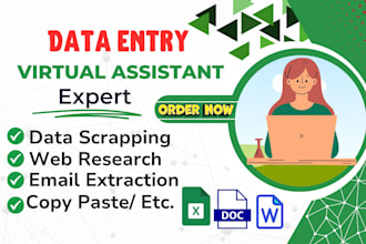 provide accurate data entry and online research services