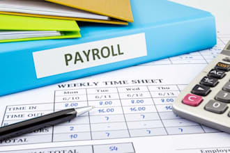 provide expert UK payroll management