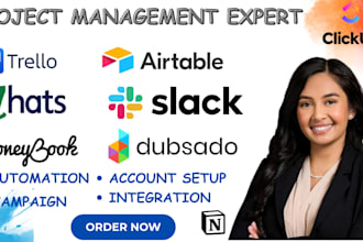 hootsuite dubsado honeybook 17hats asana trello slack airtable clickup notioncrm