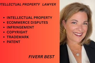 be your IP lawyer for trademark, copyright, patent and ecommerce disputes