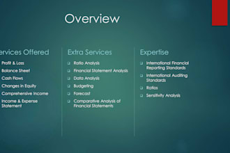 prepare financial statements, income statements and profit and loss