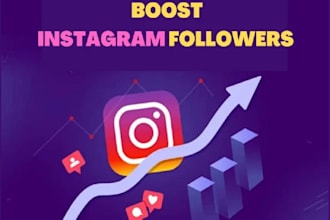 provide instagram marketing and promotion