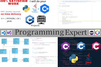 do java, cpp, c sharp and python programming and coding projects with oop, dsa
