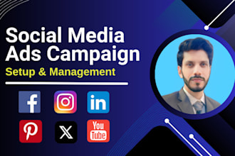 run a protfitable facebook and instragram ads, social media ads campaign