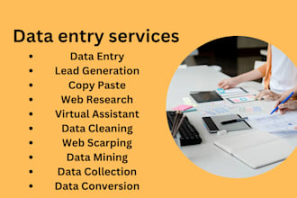do data entry, copy paste, web research and typing work in 24 hours