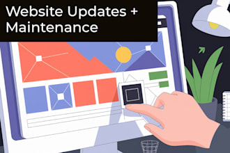 provide wordpress help and other website maintenance