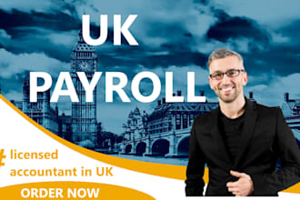 run UK payslip paye payroll for any company