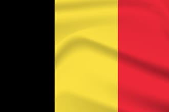 provide belgium b2b or consumer sales leads