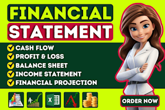 prepare profit loss, balance sheet, cash flow, income and financial statements