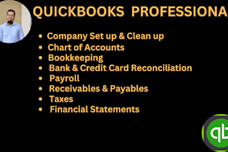 provide professional accounting and bookkeeping services