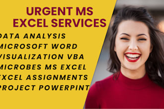 give data processing, formulas, and excel macros services
