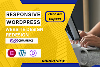 build a professional business website ecommerce store and wordpress website desi
