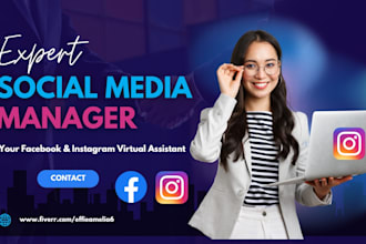 be your instagram and facebook virtual assistant and manager
