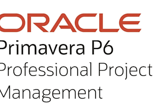 conduct primavera p6 training with 15 years of primavera experience
