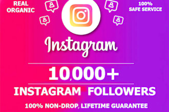 do organic instagram real followers