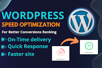 do wordpress website speed optimization, improve page speed