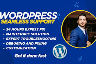 fix wordpress issues, errors, bugs, css, provide wp help troubleshooting