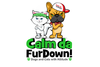 design fun looking pet grooming logo