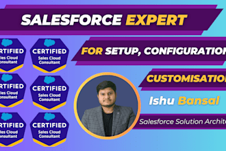 be salesforce expert for setup, configuration and customization