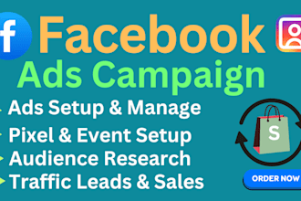 do the best facebooks ads campaign with targeted audience