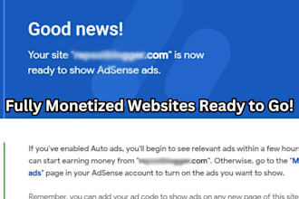 provide fully approved google adsense websites ready to use