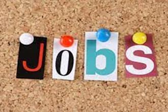 search and apply jobs, job applications, online jobs, remote jobs