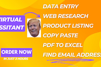 be your virtual assistant for data entry, web research in 3 hours