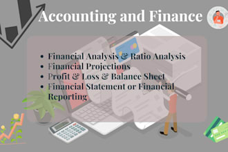 do accounting, finance, financial report, analysis, ratio, report, forecast