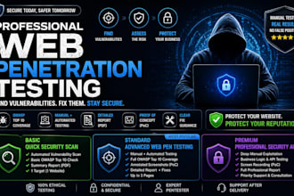 perform web penetration testing and vulnerability assessment