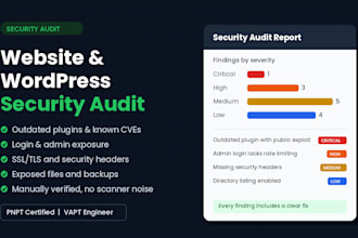 do a website and wordpress security audit with a vulnerability report