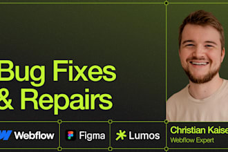 fix bugs on your webflow site