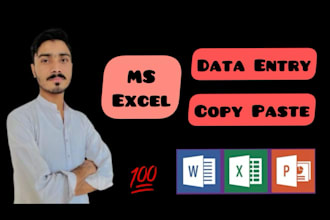 do expert level data entry and excel spreadsheet work