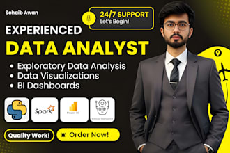 offer data analysis and data visualization services